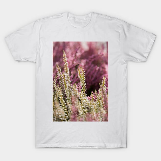 Common Heather T-Shirt by ansaharju